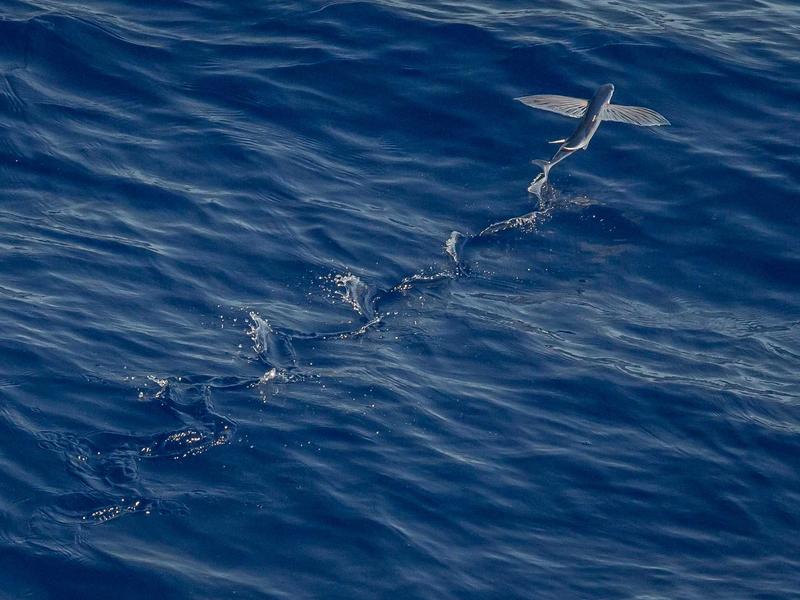 古根海姆博物馆<br>qyw0fsis.cn 螺旋坡道空间